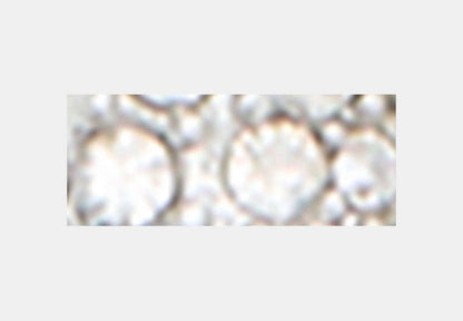 Pavé C Necklace