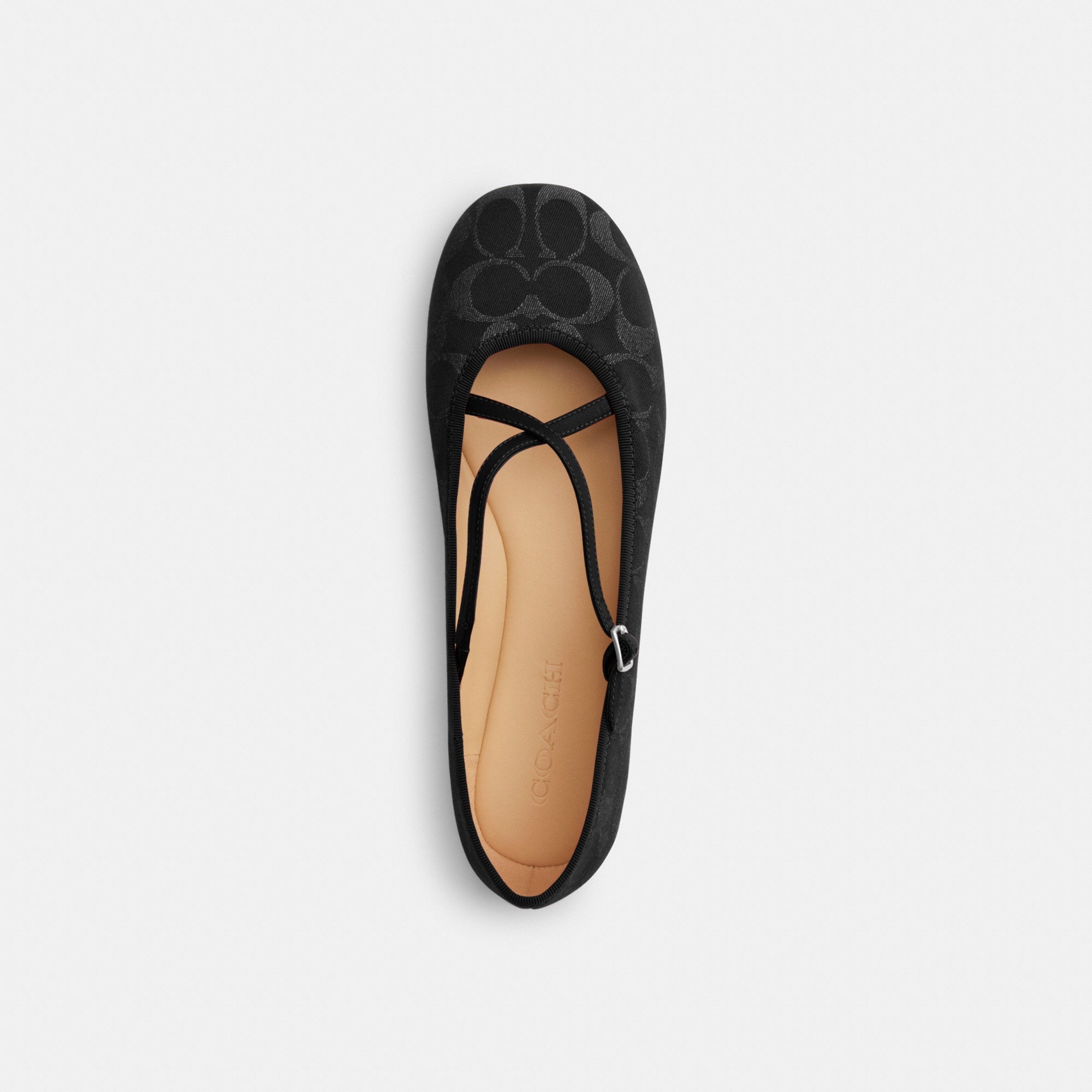 Phoebe Ballet Flat In Signature Denim