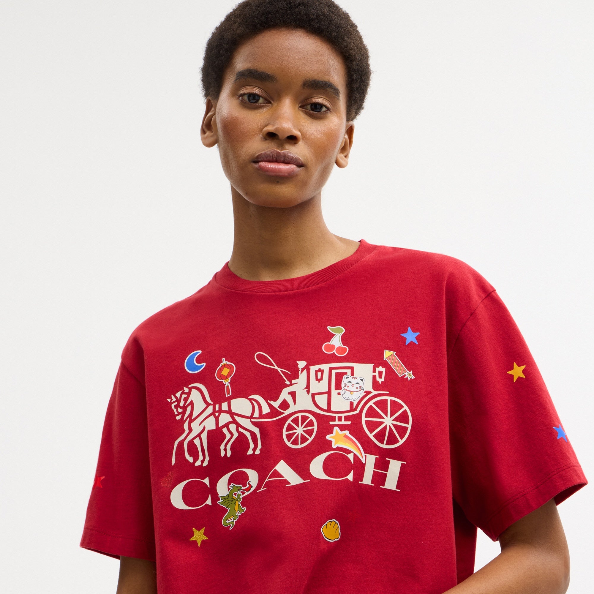 Horse And Carriage Sticker T-Shirt In Organic Cotton