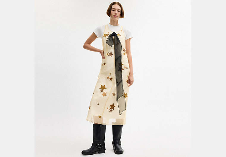 Star Organza Dress