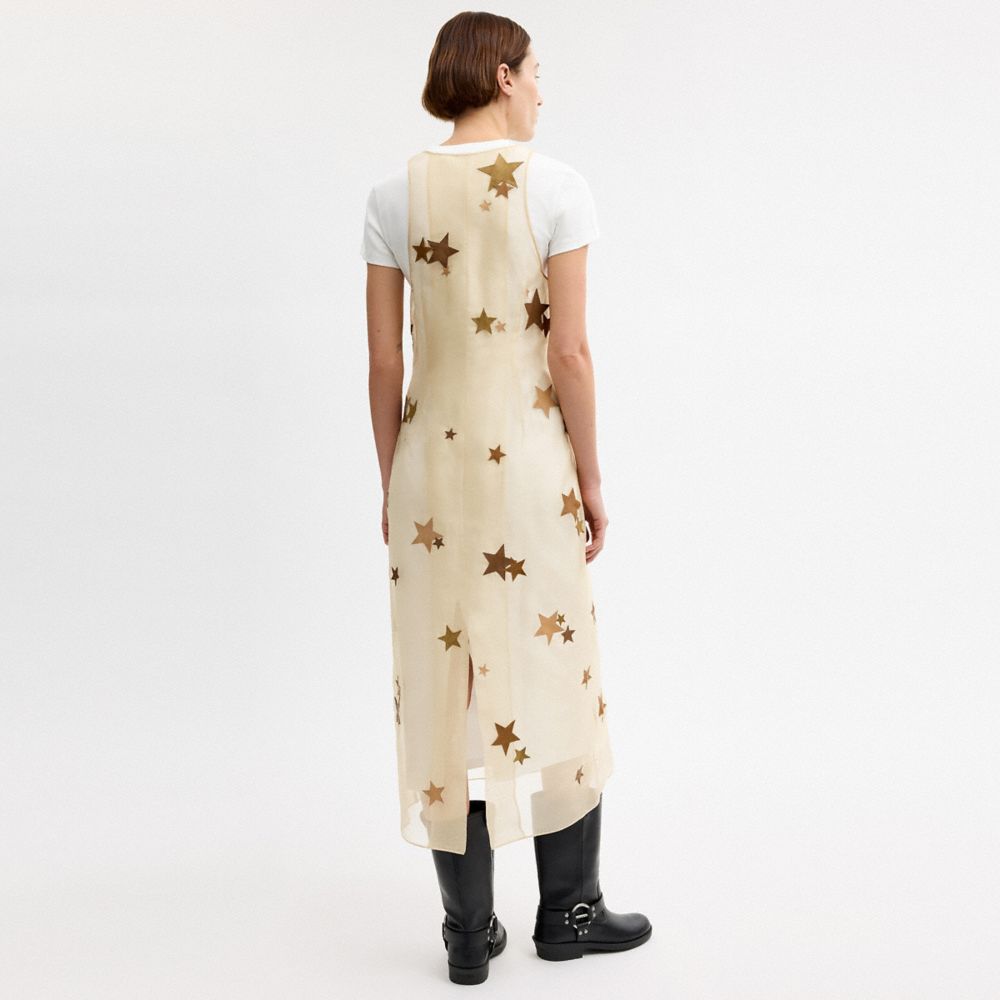 Star Organza Dress