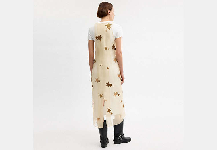 Star Organza Dress
