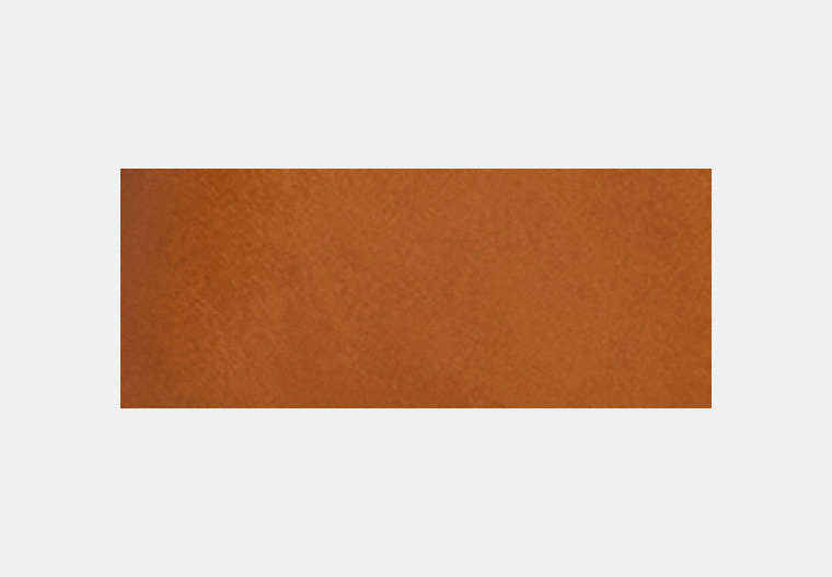 Turnlock Leather Swing Coat