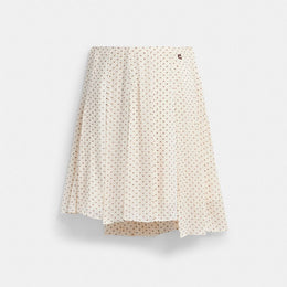 Printed Asymmetrical Pleated Skirt