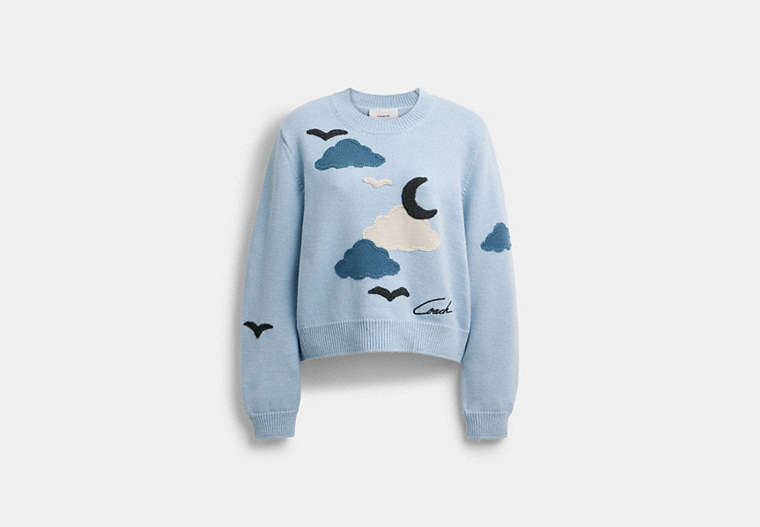 Applique Sweater