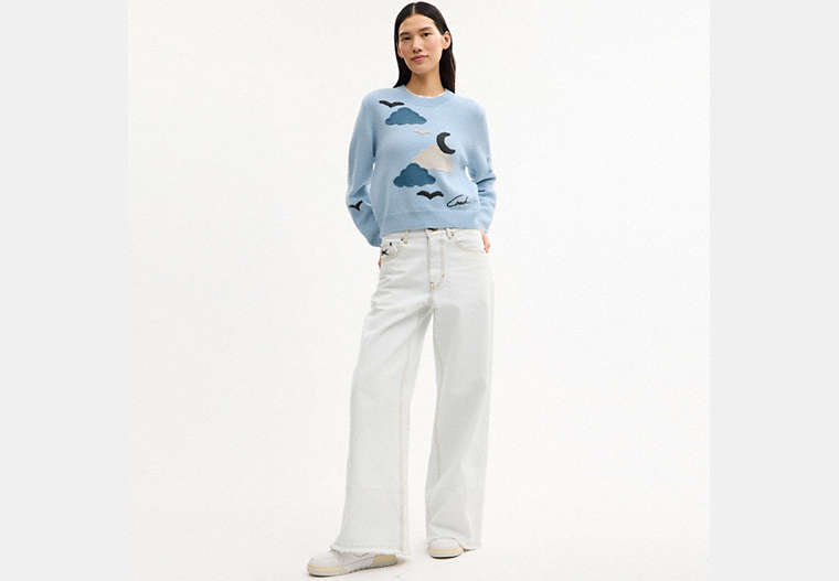 Applique Sweater