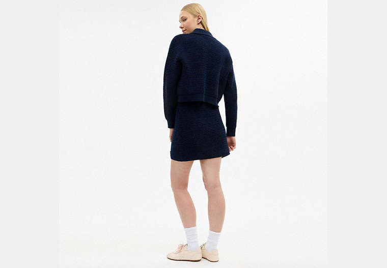 Textured Knit Skirt