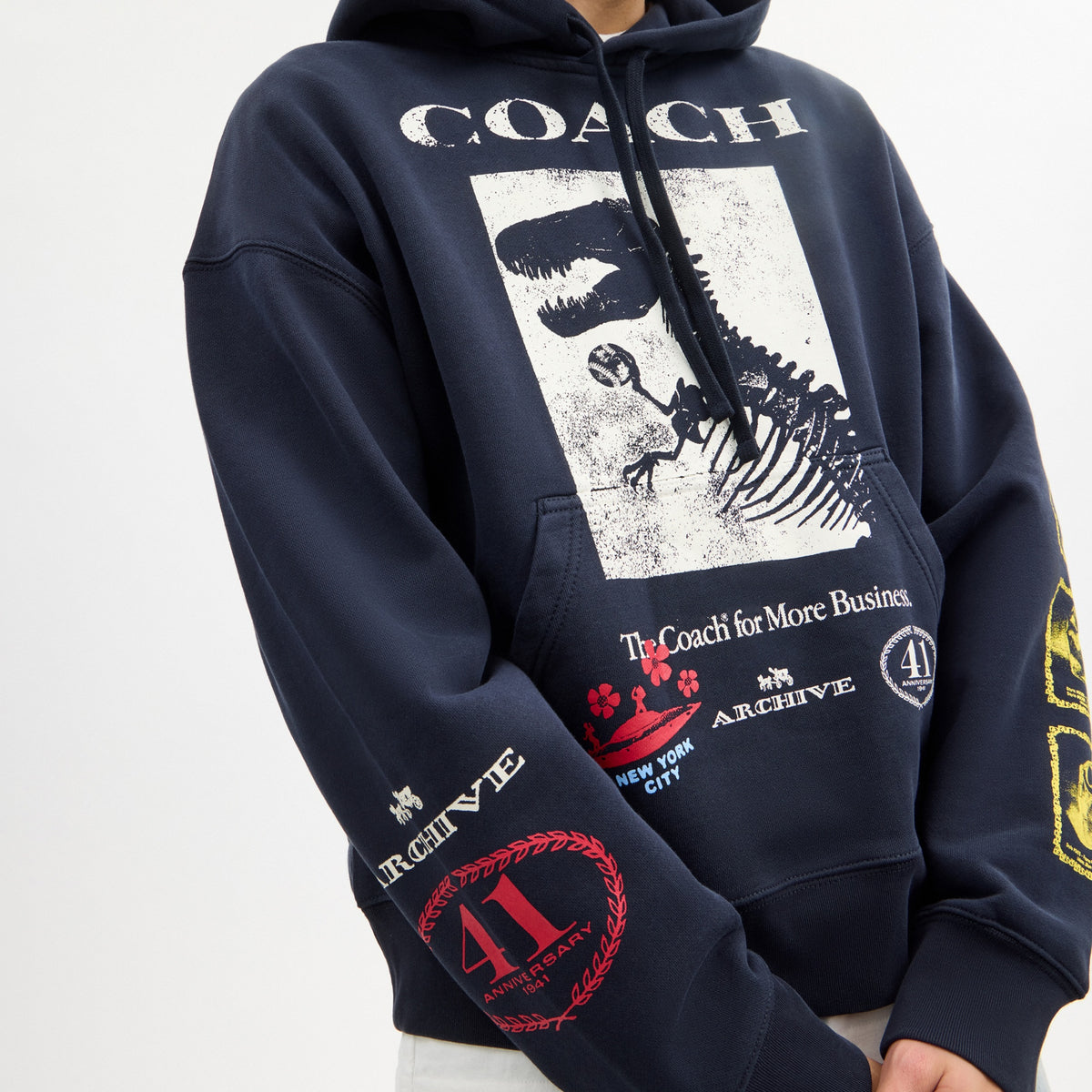 Dinosaur Collage Relaxed Hoodie In Organic Cotton