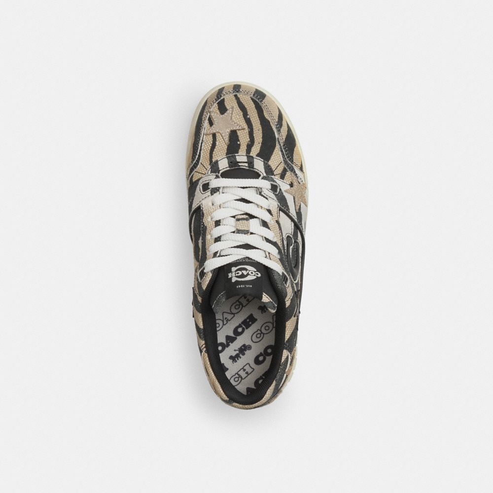 Soho Sneaker With Stars
