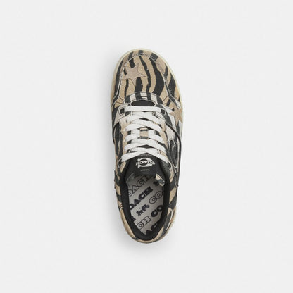 Soho Sneaker With Stars