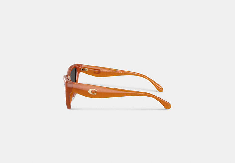 C Hardware Cat Eye Sunglasses