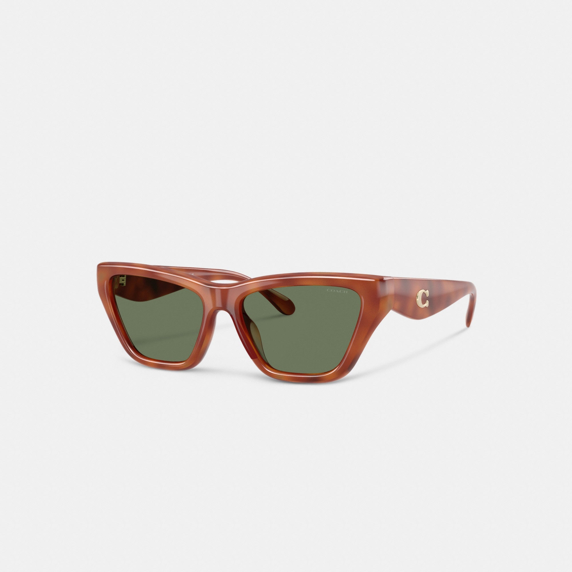 C Hardware Cat Eye Sunglasses