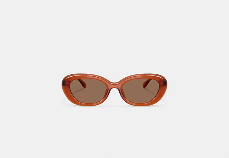 C Hardware Round Sunglasses