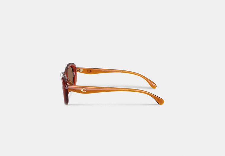 C Hardware Round Sunglasses