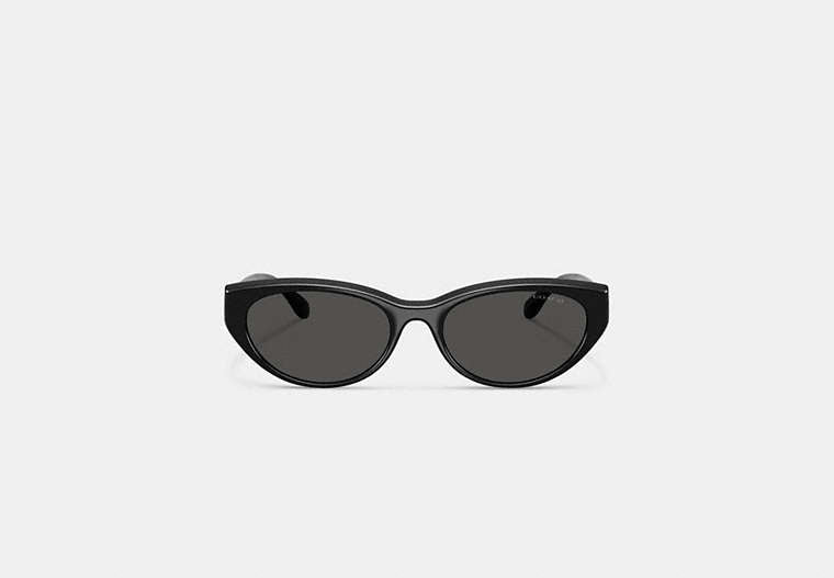 C Hardware Oval Cat Eye Sunglasses
