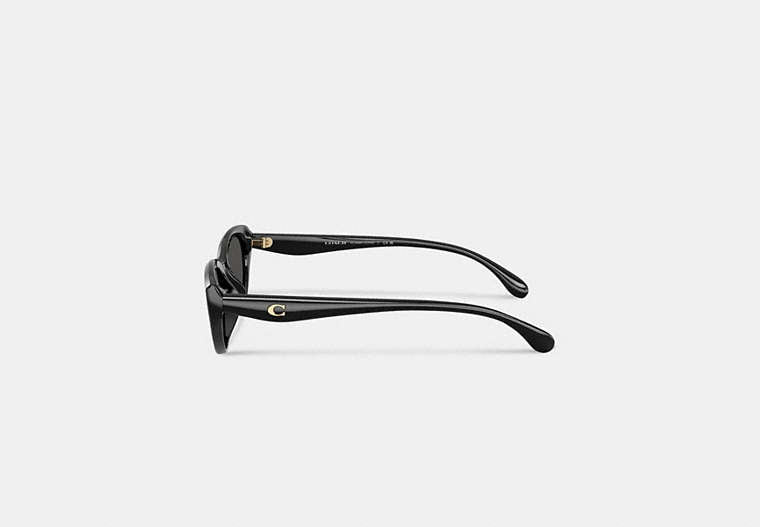 C Hardware Oval Cat Eye Sunglasses