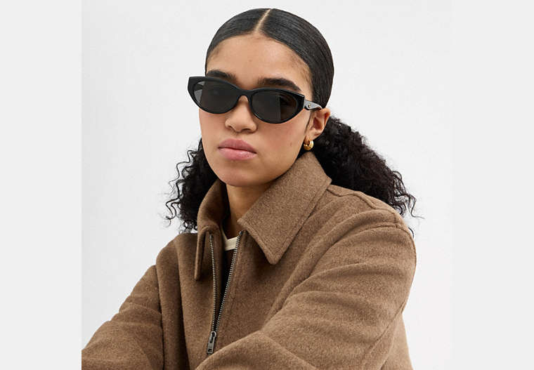 C Hardware Oval Cat Eye Sunglasses