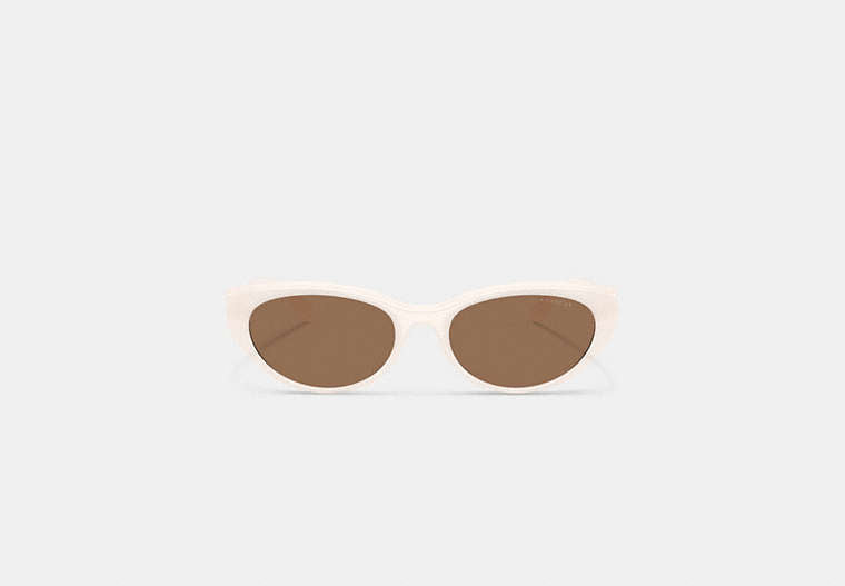 C Hardware Oval Cat Eye Sunglasses