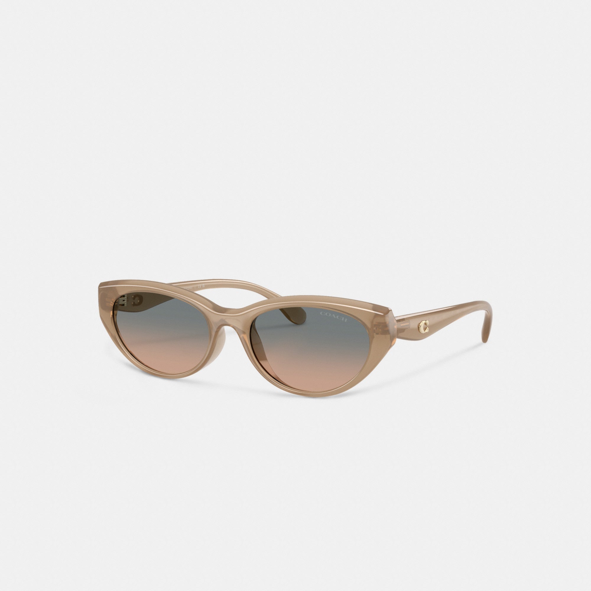 C Hardware Oval Cat Eye Sunglasses