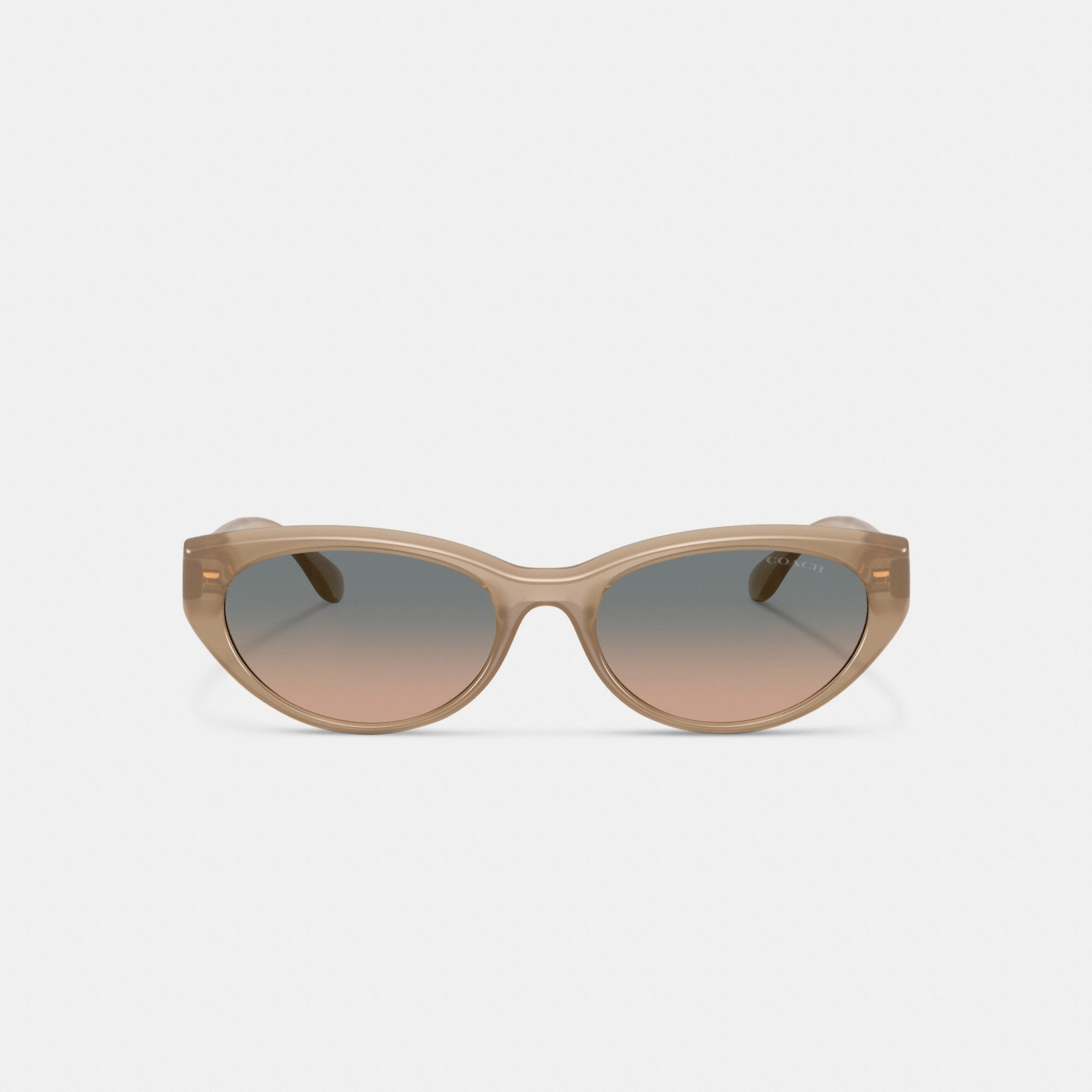 C Hardware Oval Cat Eye Sunglasses