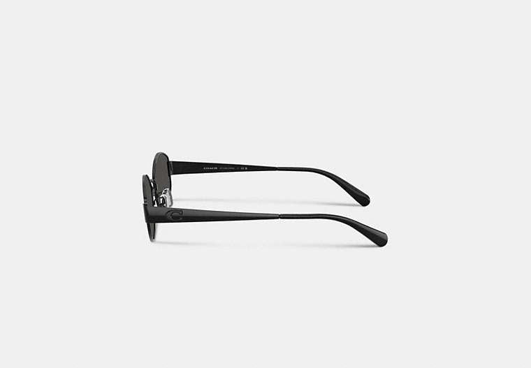 C Hardware Metal Narrow Oval Sunglasses