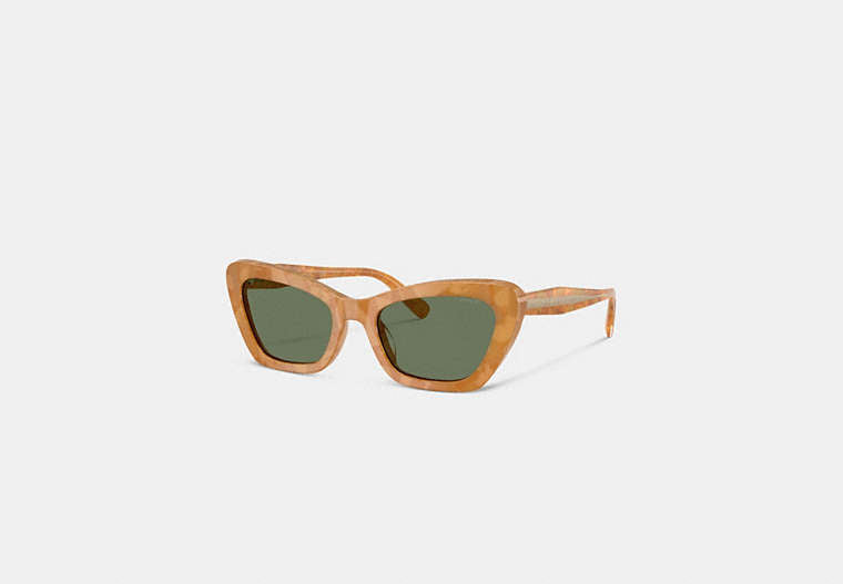 Wire Cat Eye Sunglasses