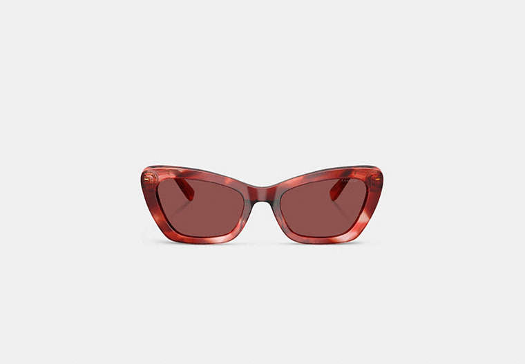 Wire Cat Eye Sunglasses