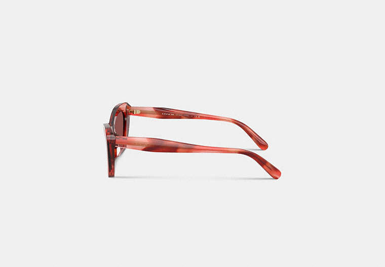 Wire Cat Eye Sunglasses