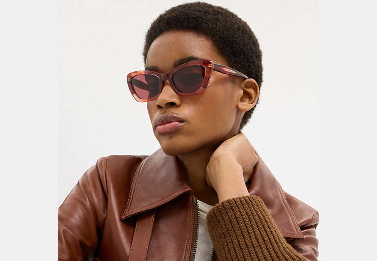 Wire Cat Eye Sunglasses