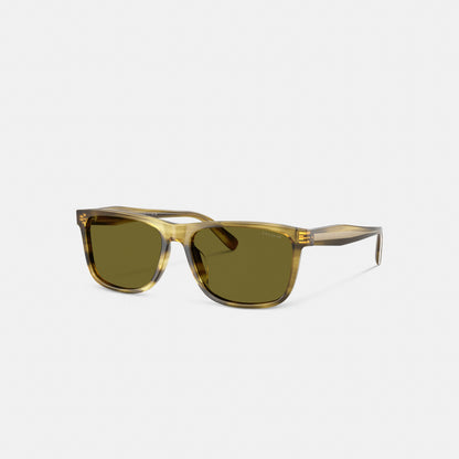 Square Sunglasses