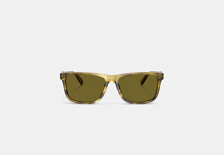 Square Sunglasses
