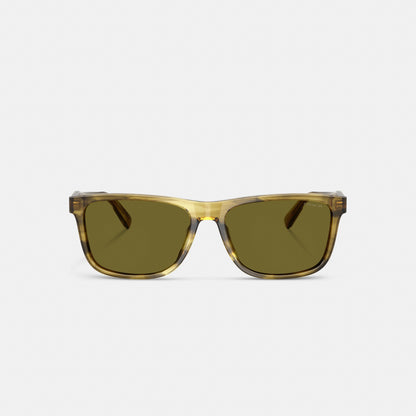 Square Sunglasses