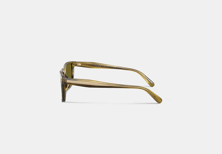 Square Sunglasses