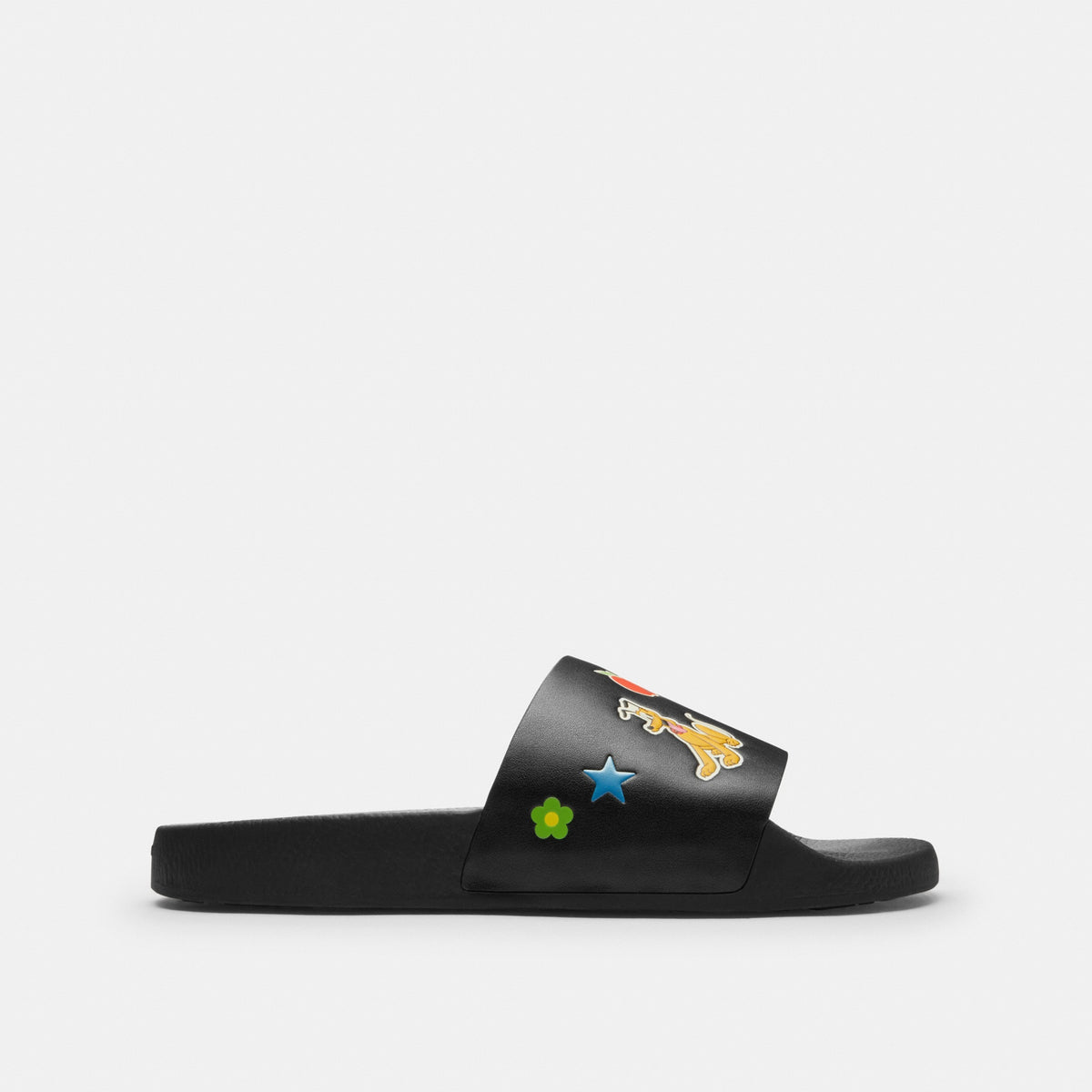 Pool Slide In Signature Canvas