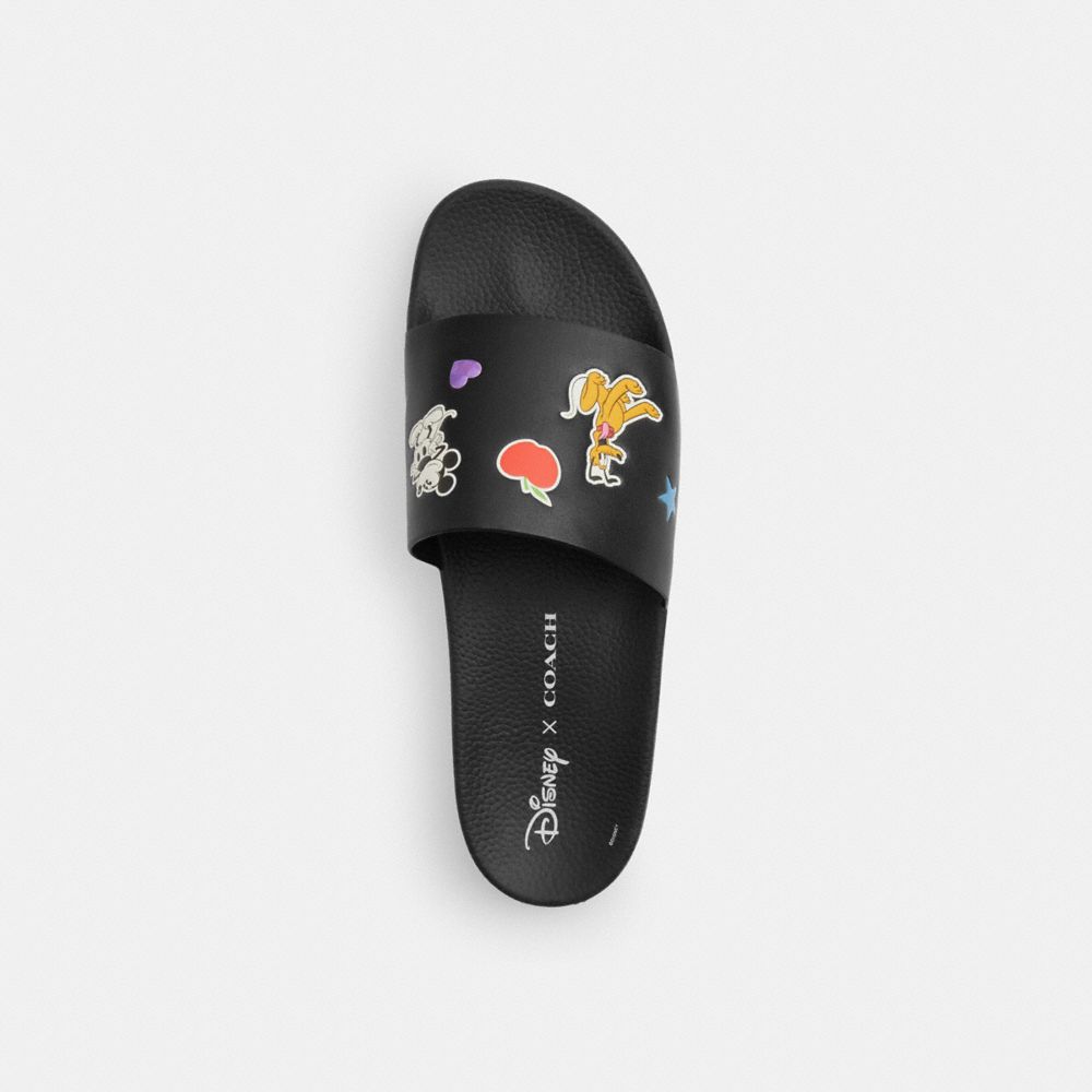 Pool Slide In Signature Canvas