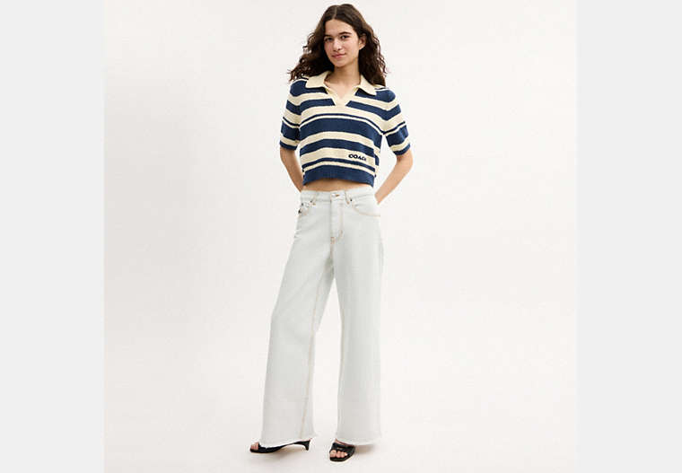 Striped Knit Polo