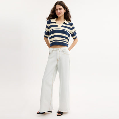 Striped Knit Polo