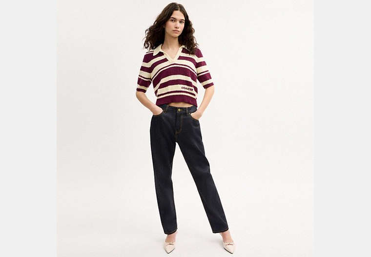 Striped Knit Polo
