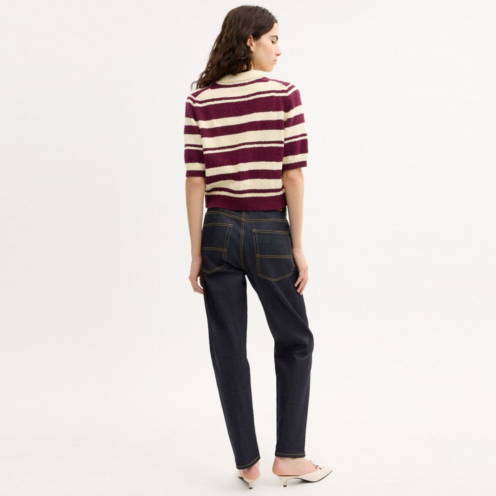 Striped Knit Polo