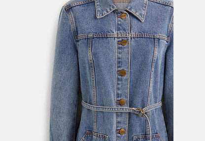 Restored Denim Dress