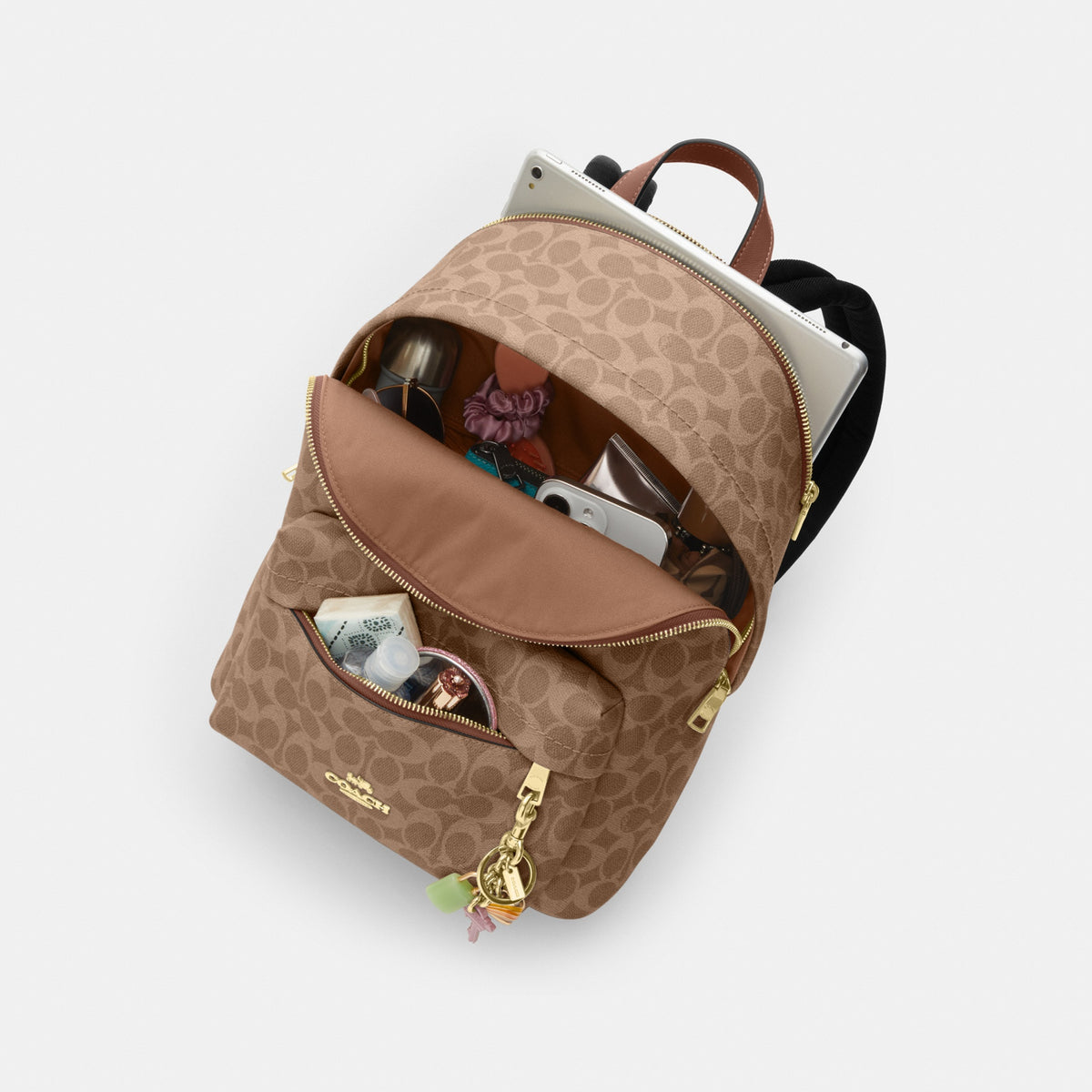Taylor Small Backpack In Signature Canvas