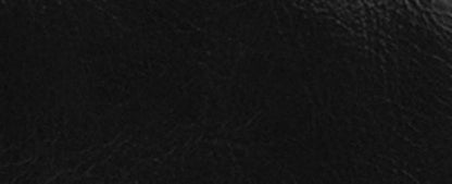 Ashton Wristlet