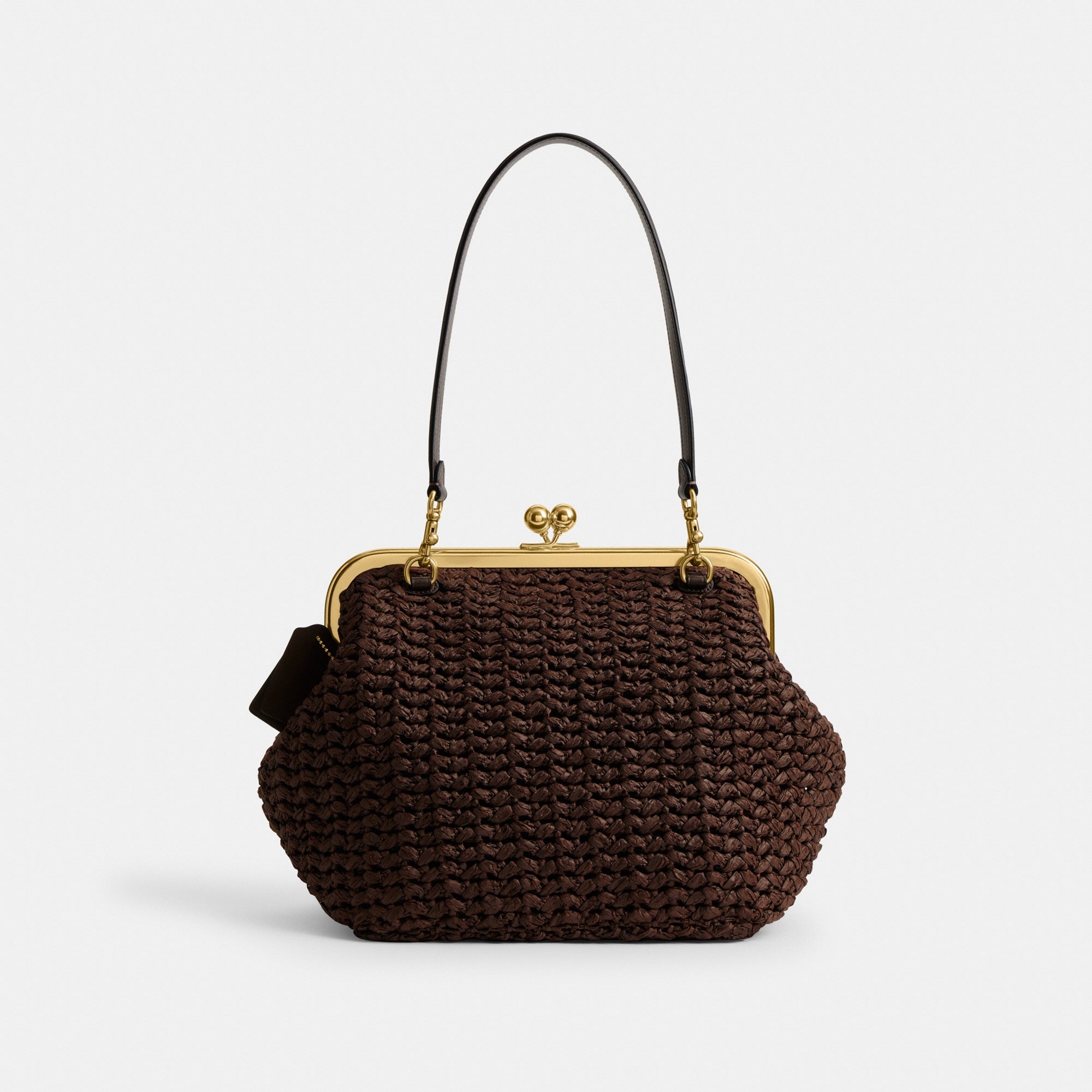 Kisslock Frame Bag 27