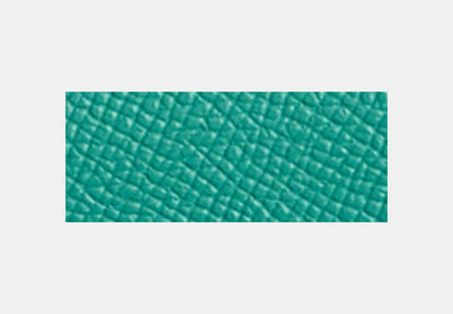 Restored Wyn Soft Wallet