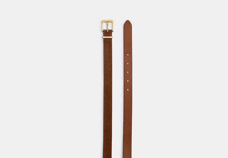 Harness Hasp Buckle Belt, 25 Mm