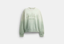 Ombre Sporty Crewneck Sweatshirt In Organic Cotton