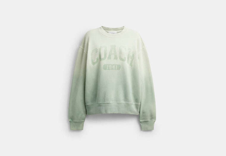 Ombre Sporty Crewneck Sweatshirt In Organic Cotton