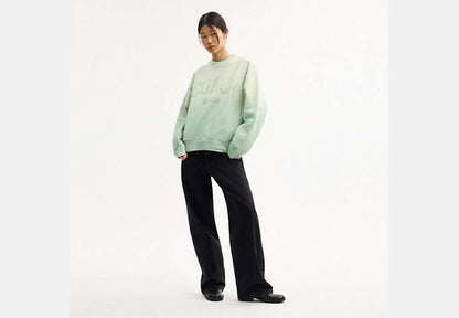 Ombre Sporty Crewneck Sweatshirt In Organic Cotton