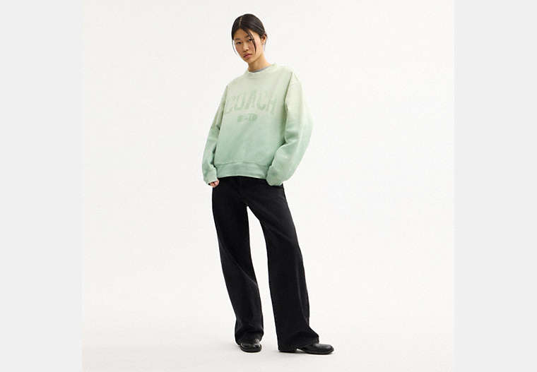 Ombre Sporty Crewneck Sweatshirt In Organic Cotton