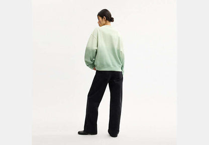 Ombre Sporty Crewneck Sweatshirt In Organic Cotton